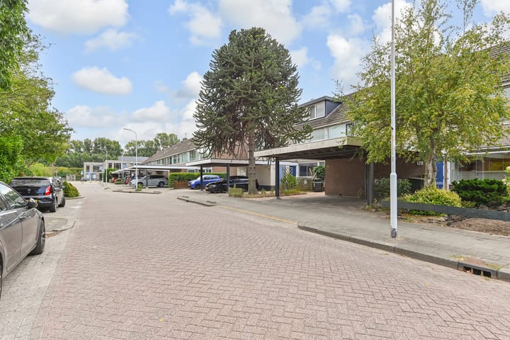 Foto 49 van Fivelingo 120