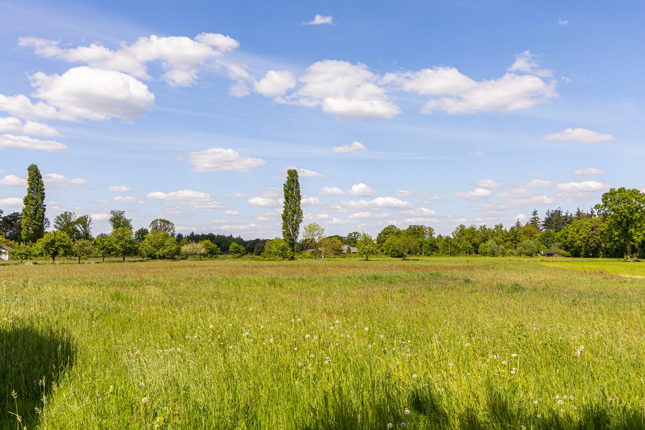 Foto 3 van Borculoseweg bij nummer 30