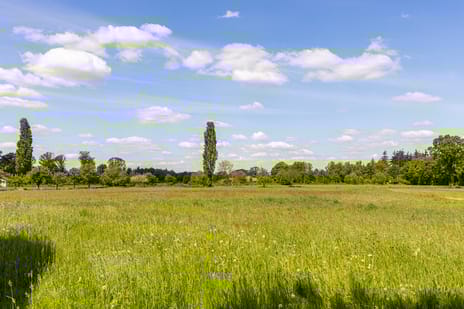 Borculoseweg bij nummer 30 tertiary image