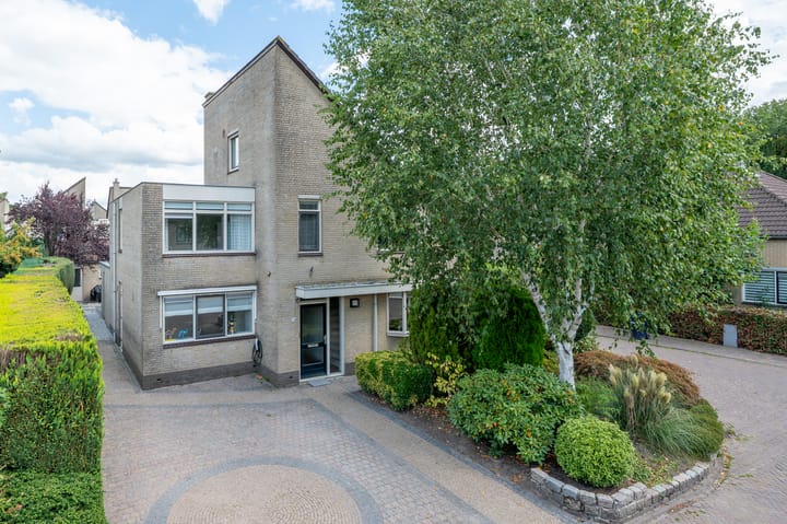 Foto 2 van Goudvink 34