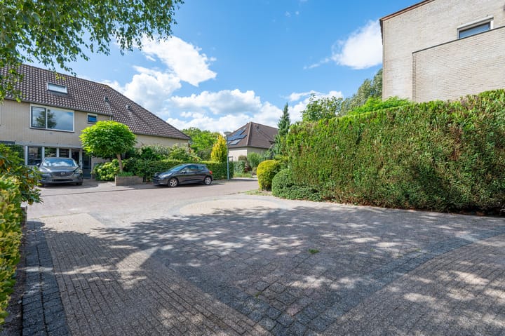 Foto 34 van Goudvink 34