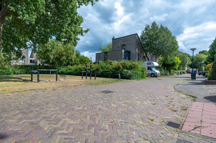 Foto 35 van Goudvink 34