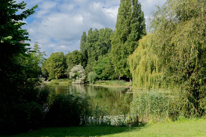 Foto 24 van Von Zesenstraat 94