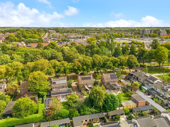 Foto 44 van Willem de Rijkelaan 8