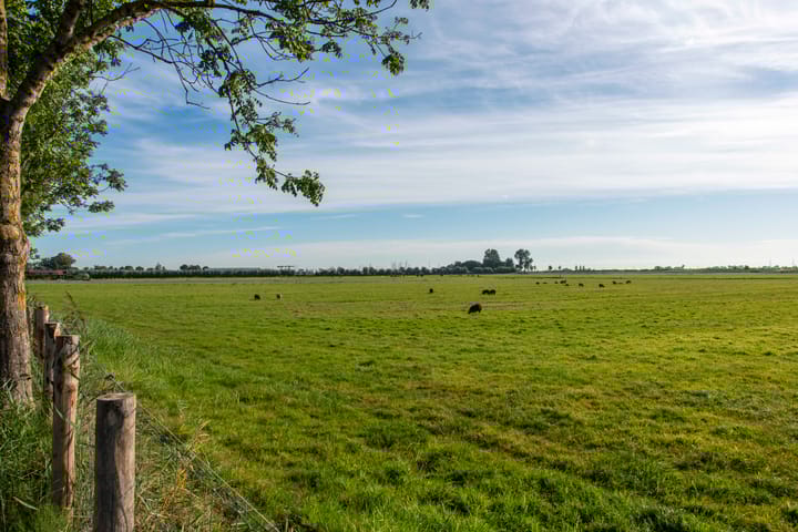 Photo 46 of Boschweg 18