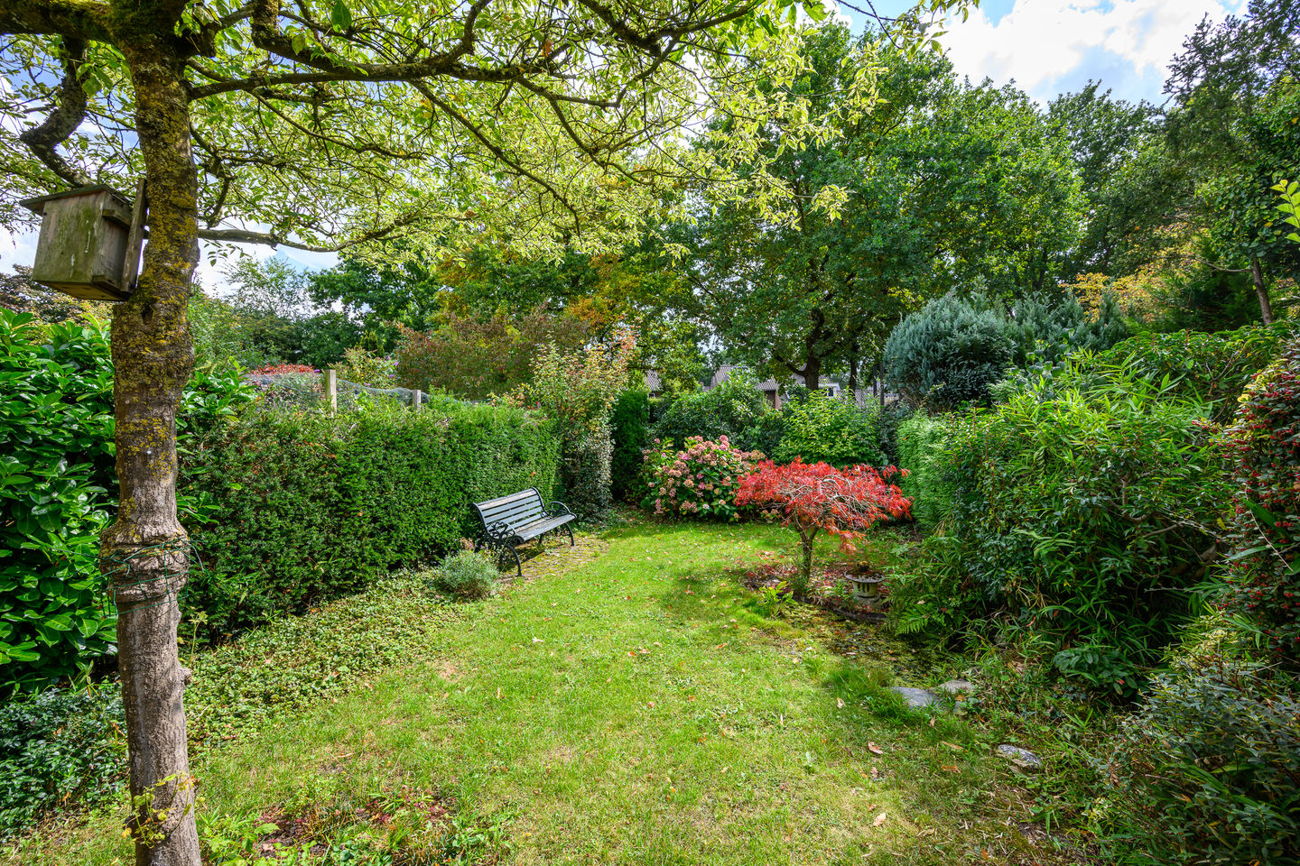 Photo 35 of Schans 29