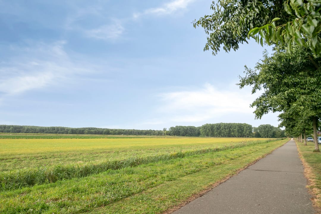 Foto 43 van Alexander de Grotestraat 28