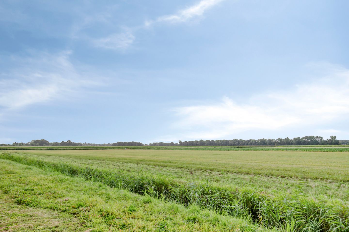 Foto 44 van Alexander de Grotestraat 28