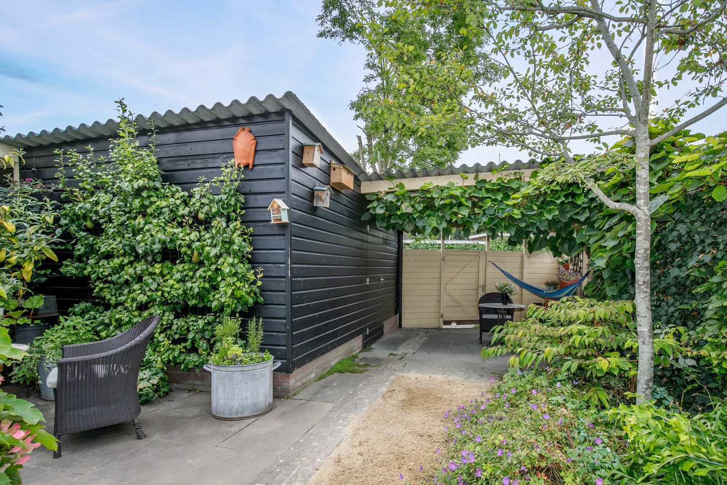 Photo 50 of Albrecht Beijlinggracht 34