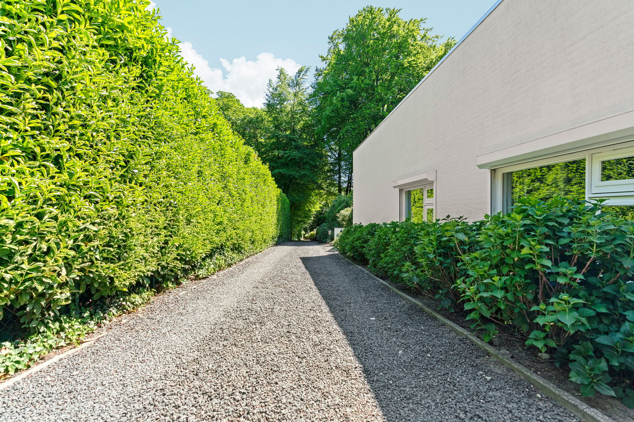 Photo 81 of Bosweg 14