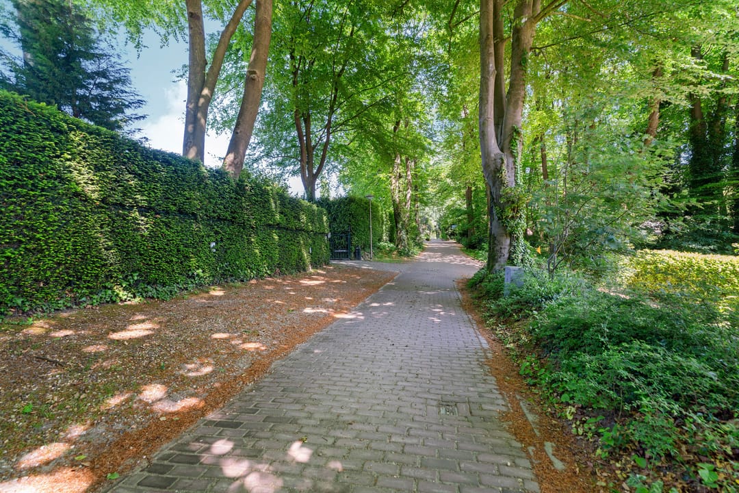 Photo 83 of Bosweg 14