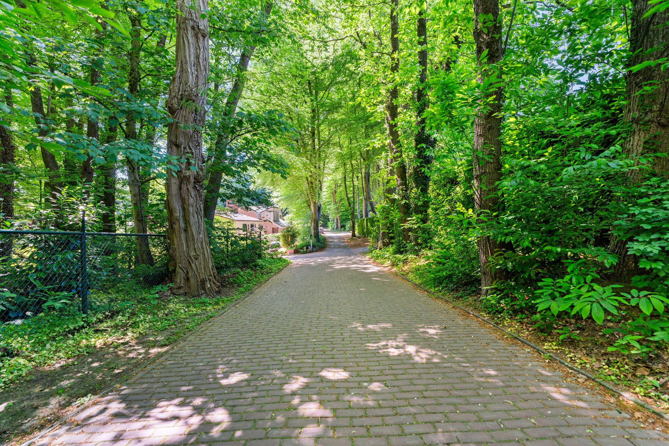 Photo 84 of Bosweg 14