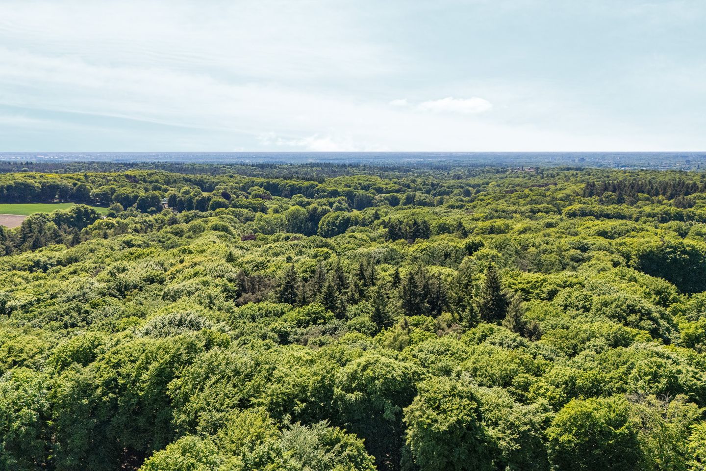 Photo 89 of Bosweg 14