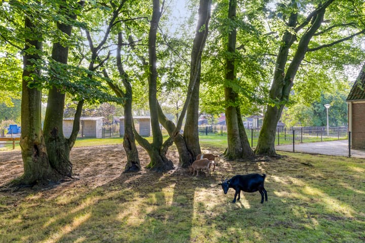 Foto 33 van Struiklaan 7