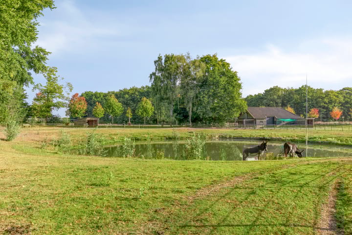 Foto 34 van Struiklaan 7