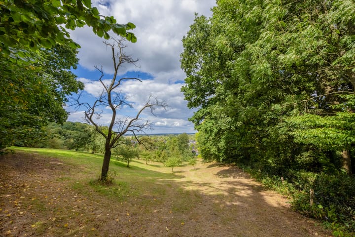 Photo 40 of Lijsterbesstraat 5