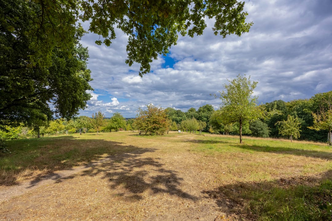 Foto 41 van Lijsterbesstraat 5