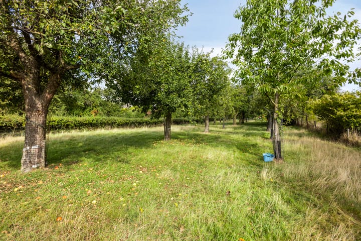 Foto 45 van Groot-Haasdal 15-A