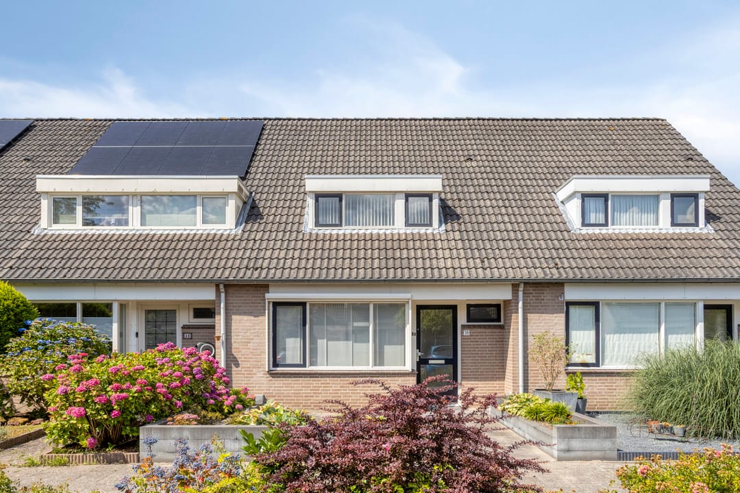 Foto 1 van Ekster 38