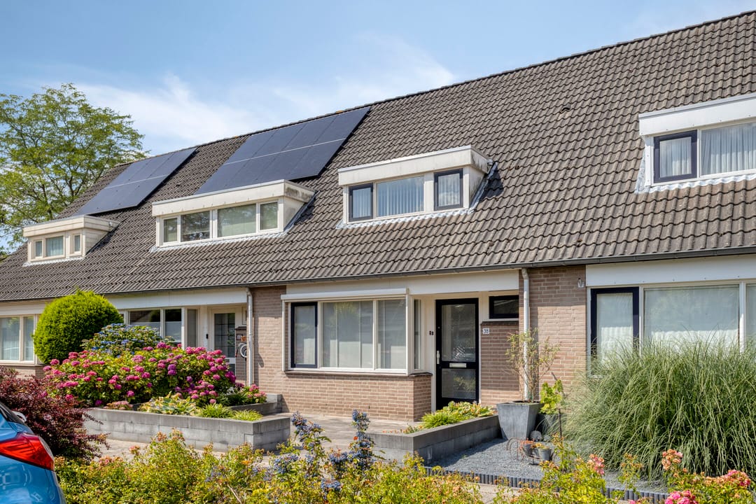 Foto 2 van Ekster 38