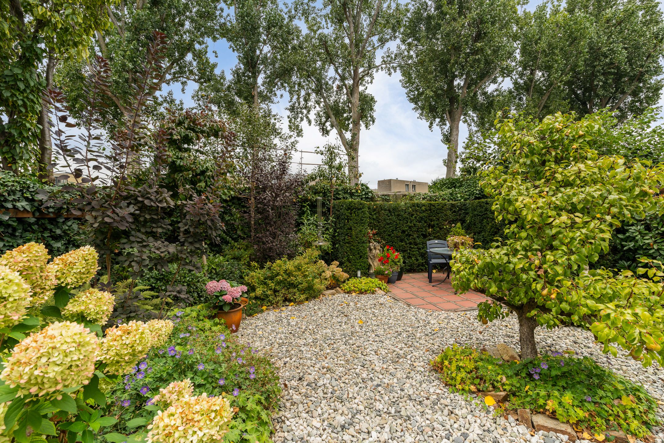 Foto 42 van Maaskant-erf 48