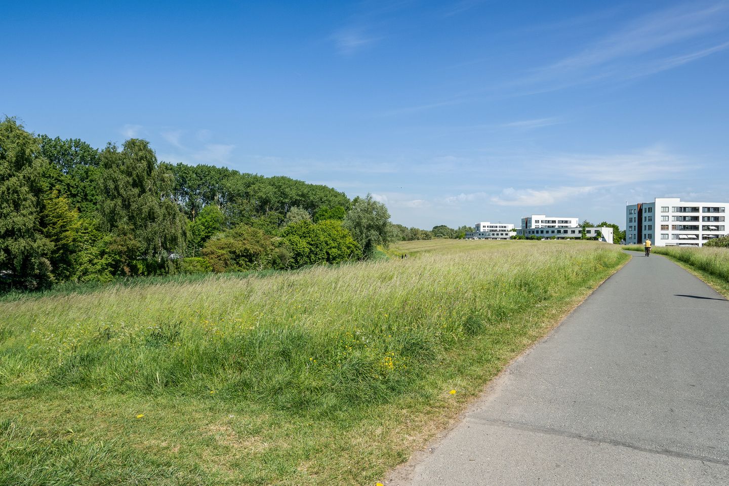 Foto 50 van Maaskant-erf 48