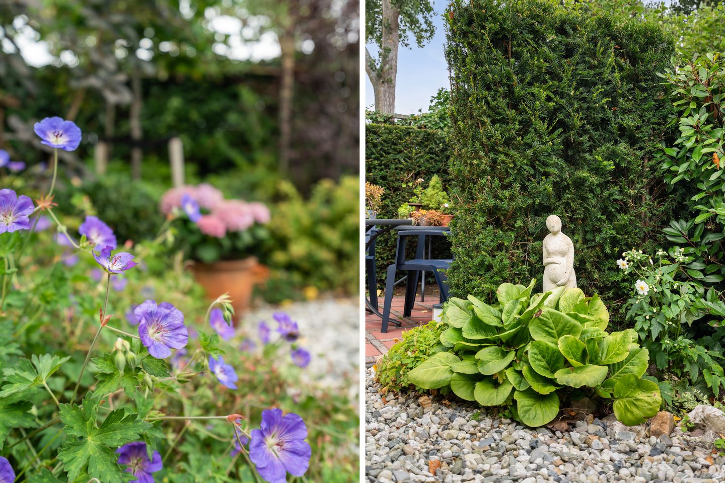 Foto 44 van Maaskant-erf 48