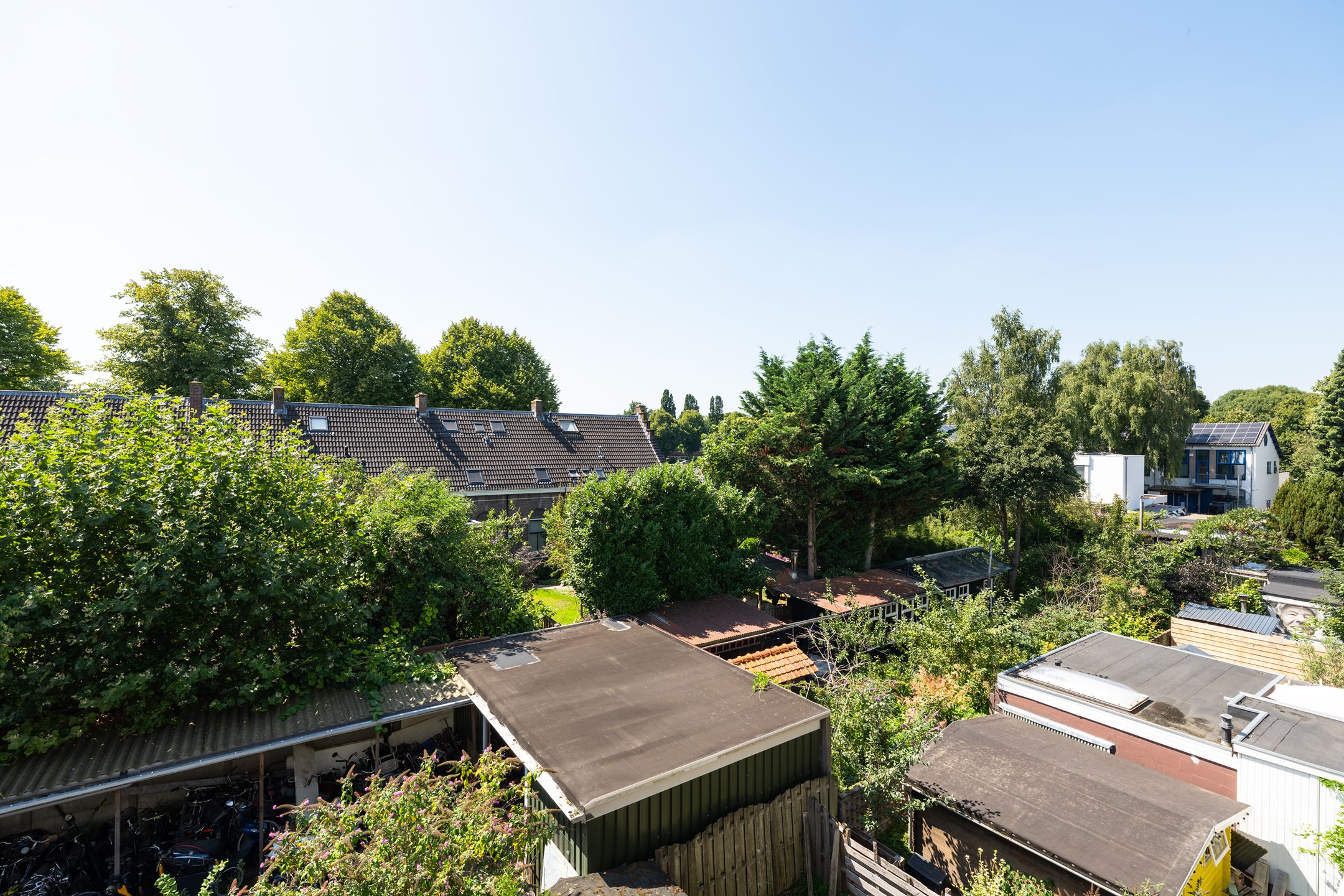 Foto 12 van Laan van Nieuw-Guinea 34-BSA