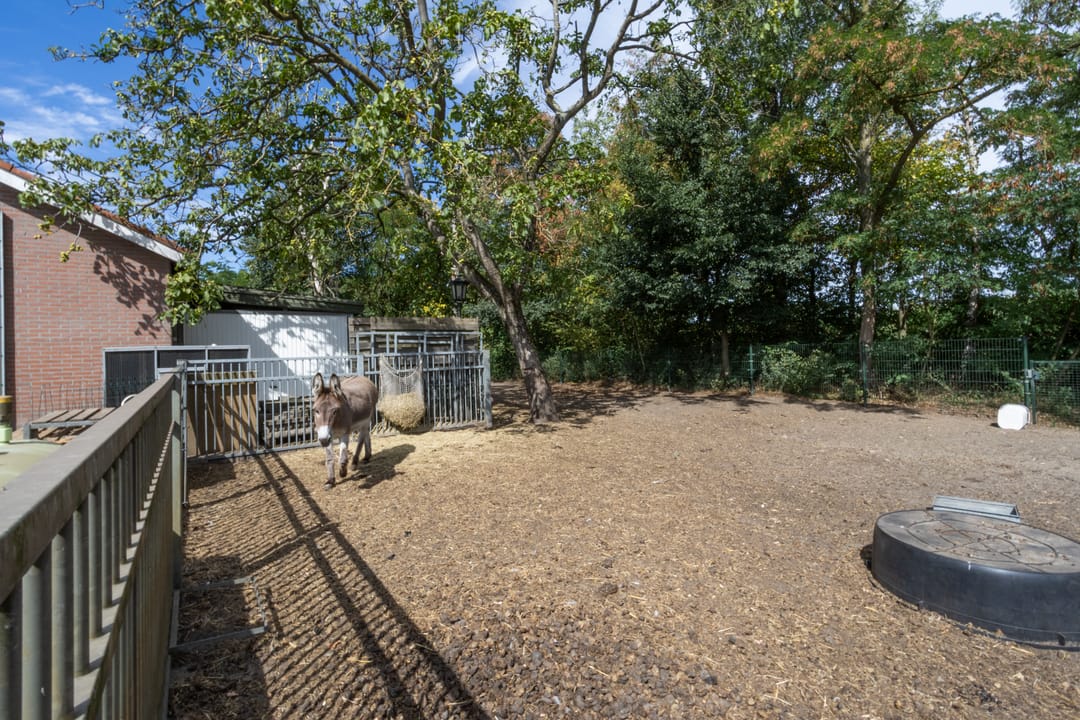 Photo 52 of Grensweg 9