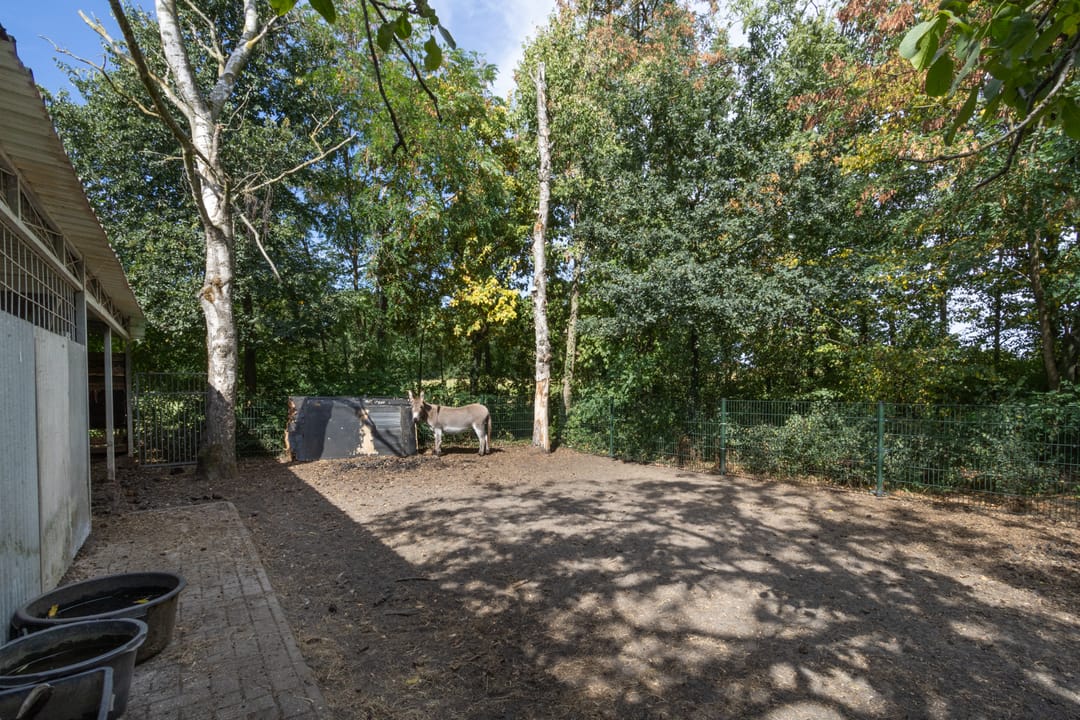 Photo 53 of Grensweg 9