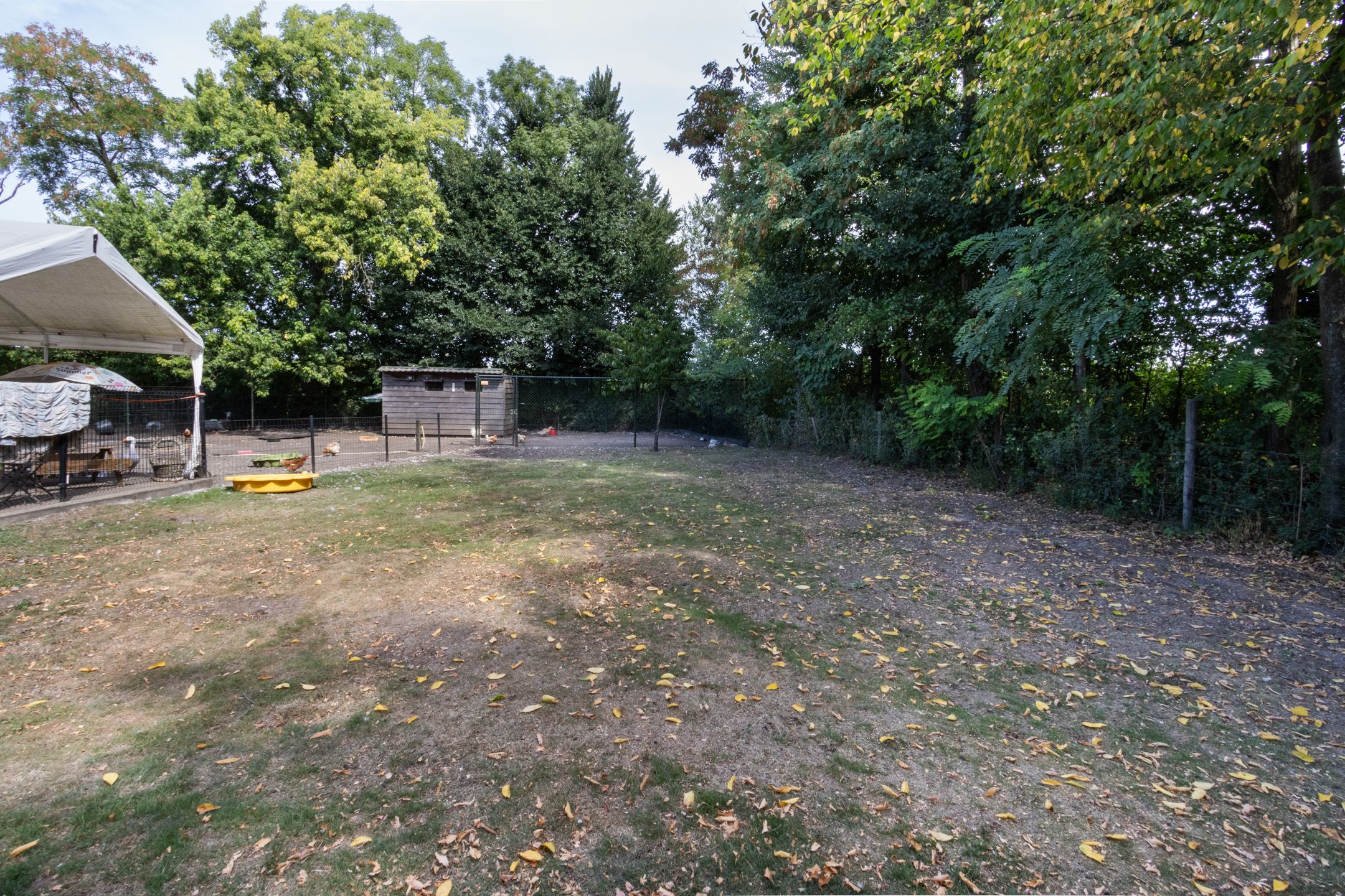 Photo 54 of Grensweg 9