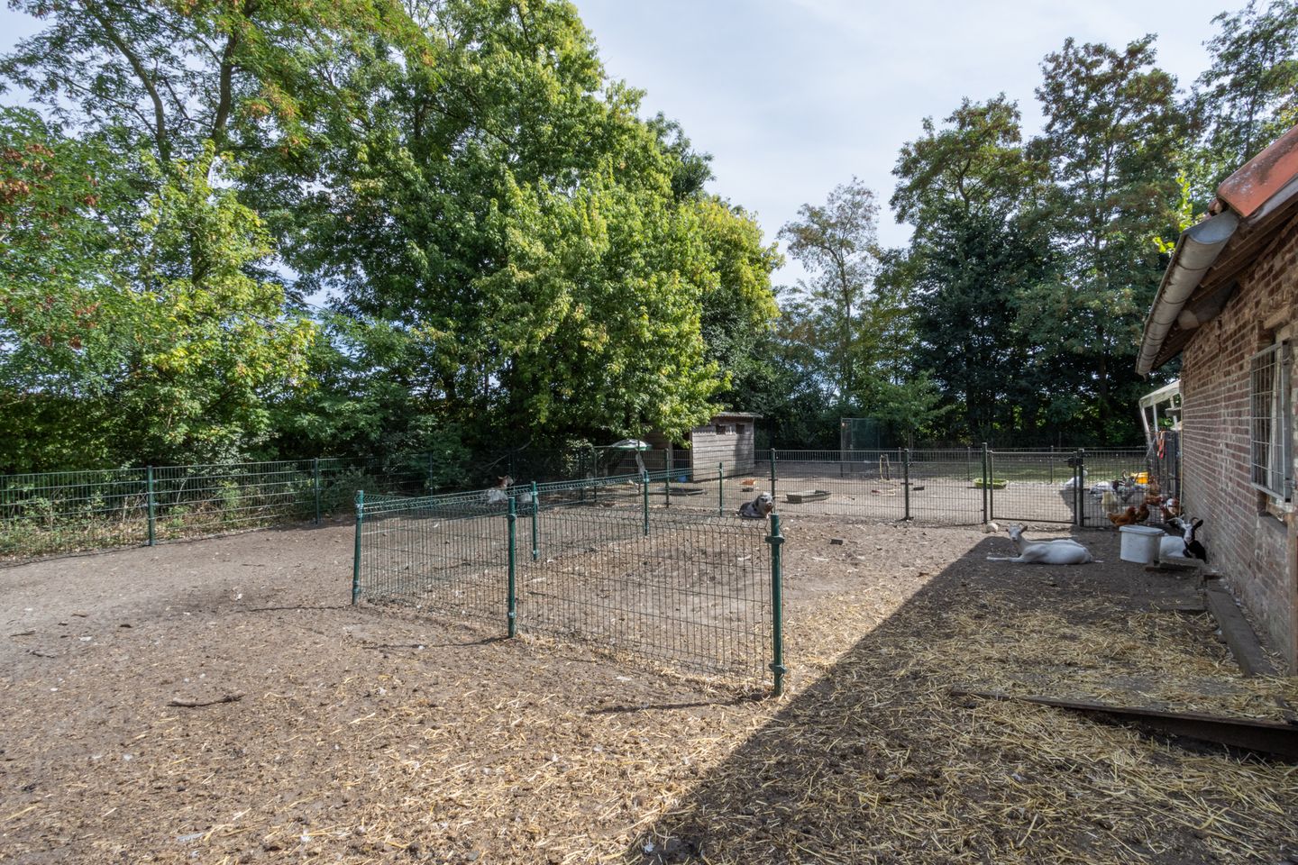 Photo 55 of Grensweg 9