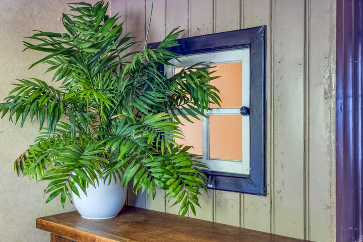 Foto 49 van Heeckerenlaan 16