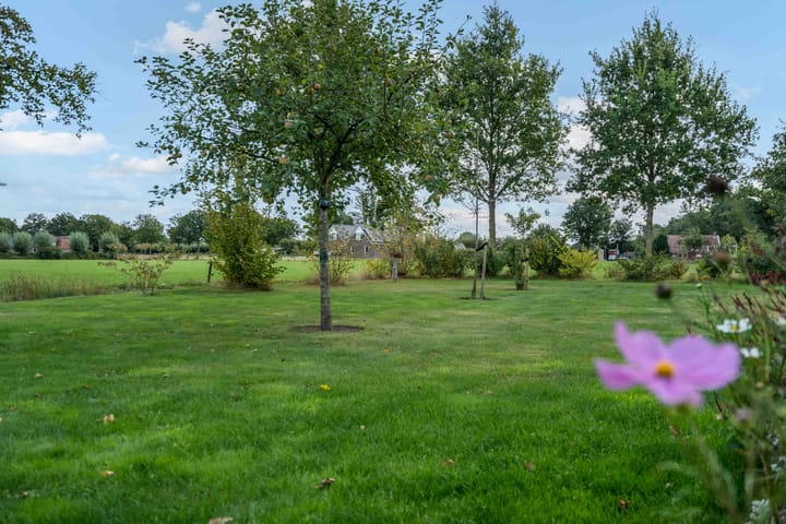 Foto 43 van J.P. Santeeweg 116