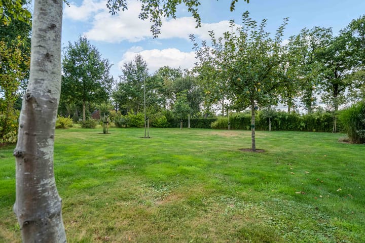 Foto 45 van J.P. Santeeweg 116