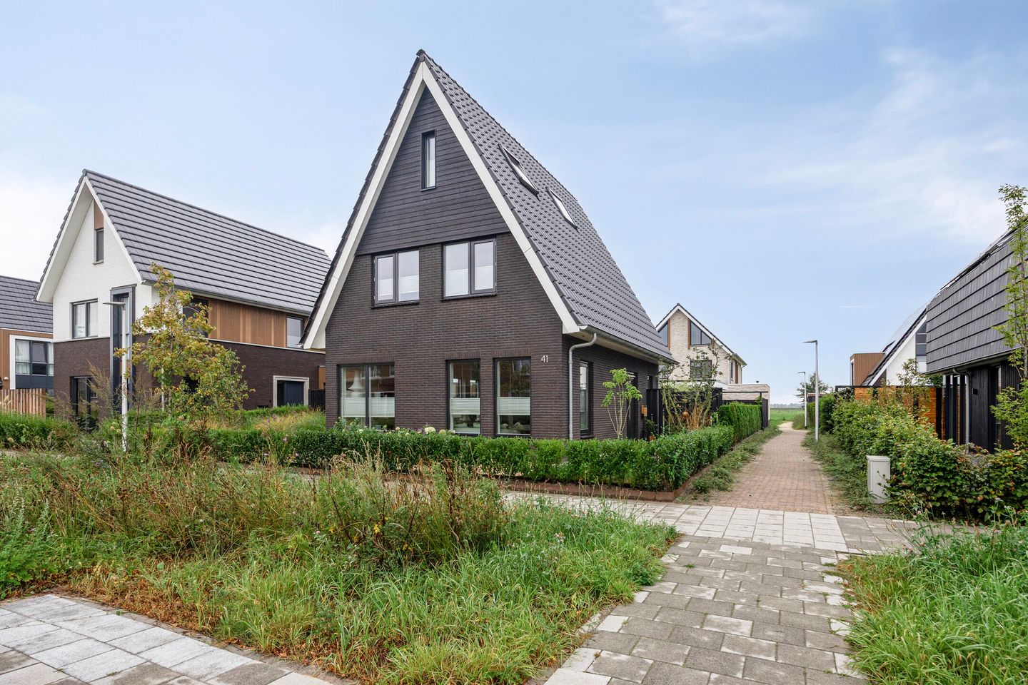 Foto 1 van Westergrift 41