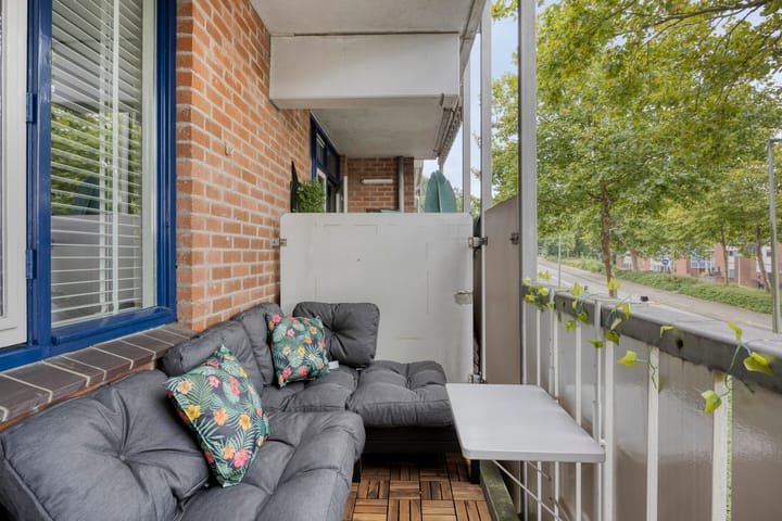 Foto 4 van Stuifzwam 60