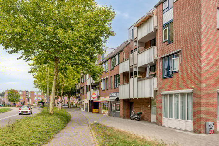 Foto 20 van Stuifzwam 60