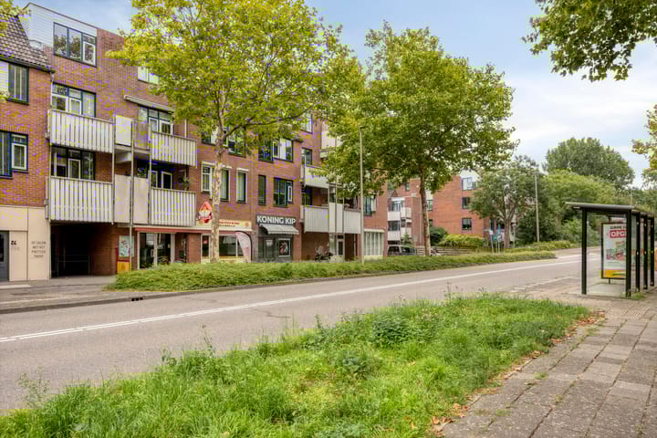 Foto 22 van Stuifzwam 60