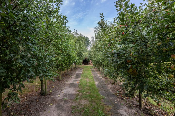 Foto 48 van Oudelandsedijk 8