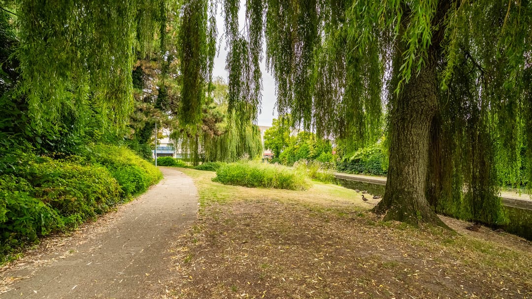 Foto 32 van Tweede Sligtestraat 16