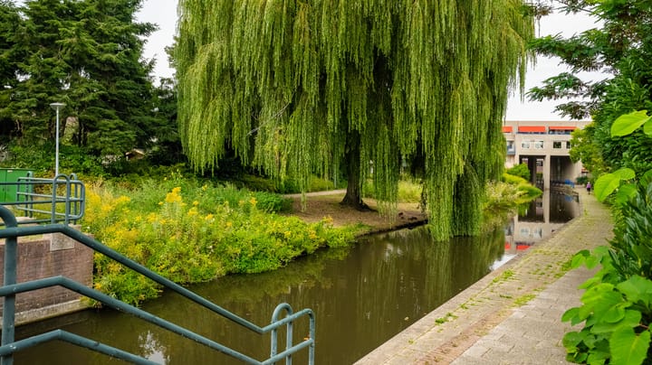 Foto 33 van Tweede Sligtestraat 16