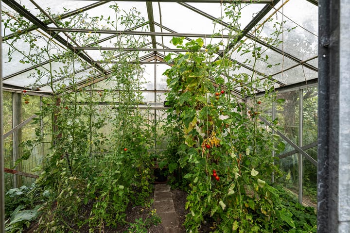 Foto 27 van Westkanaalweg 15