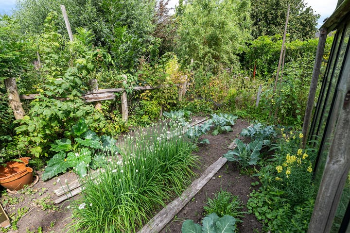 Foto 28 van Westkanaalweg 15