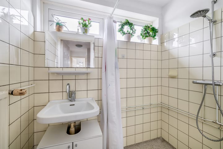 Foto 18 van Nieuwemeerdijk 101