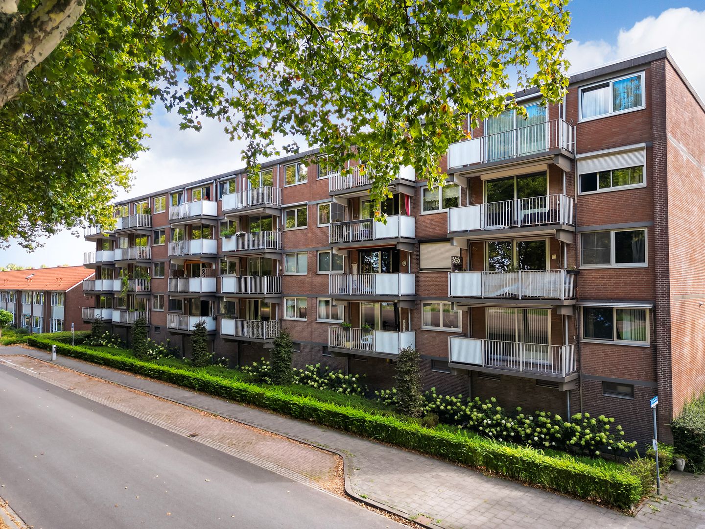 Foto 29 van Rijnauwenstraat 63