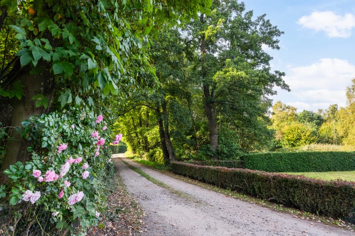 Foto 28 van Papenstraat 12-I