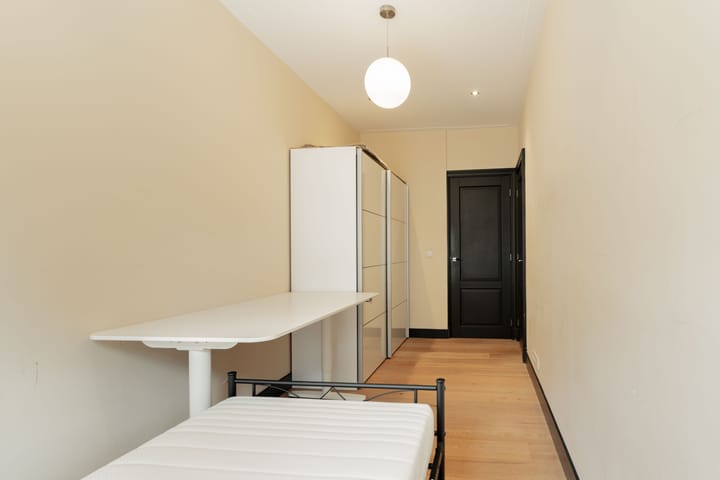 Foto 19 van Dintelstraat 61-1