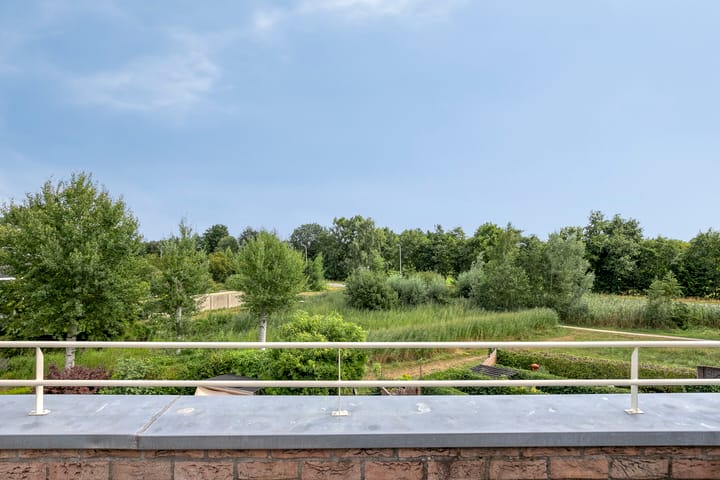 Foto 40 van Leemrand 41