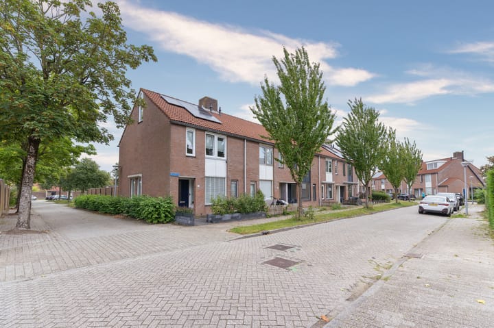 Foto 4 van Koolmees 37